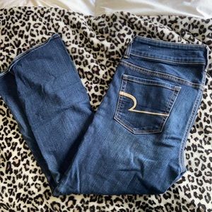 American Eagle Artist Crop Jeans